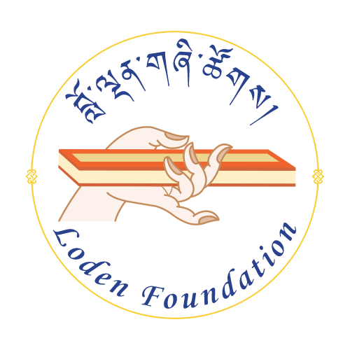 loden foundation business plan format